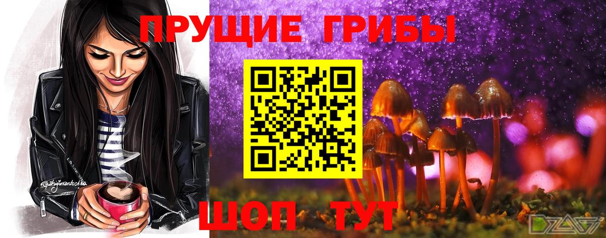 Кирово-Чепецк  Галлюциногенные грибы Psilocybine cubensis  Вход с VPN 